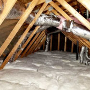 attic-advisors-and-crawl