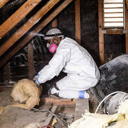 Insulation Removal