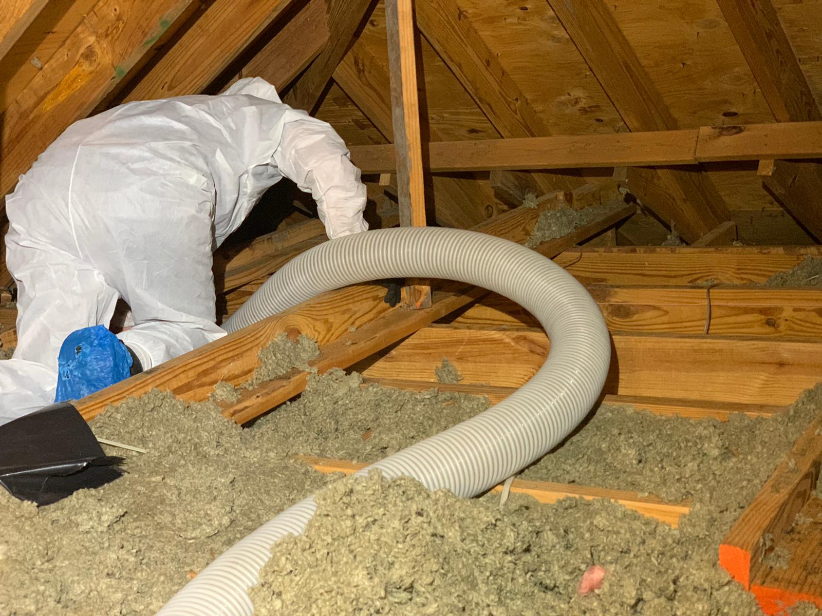 insulation removal